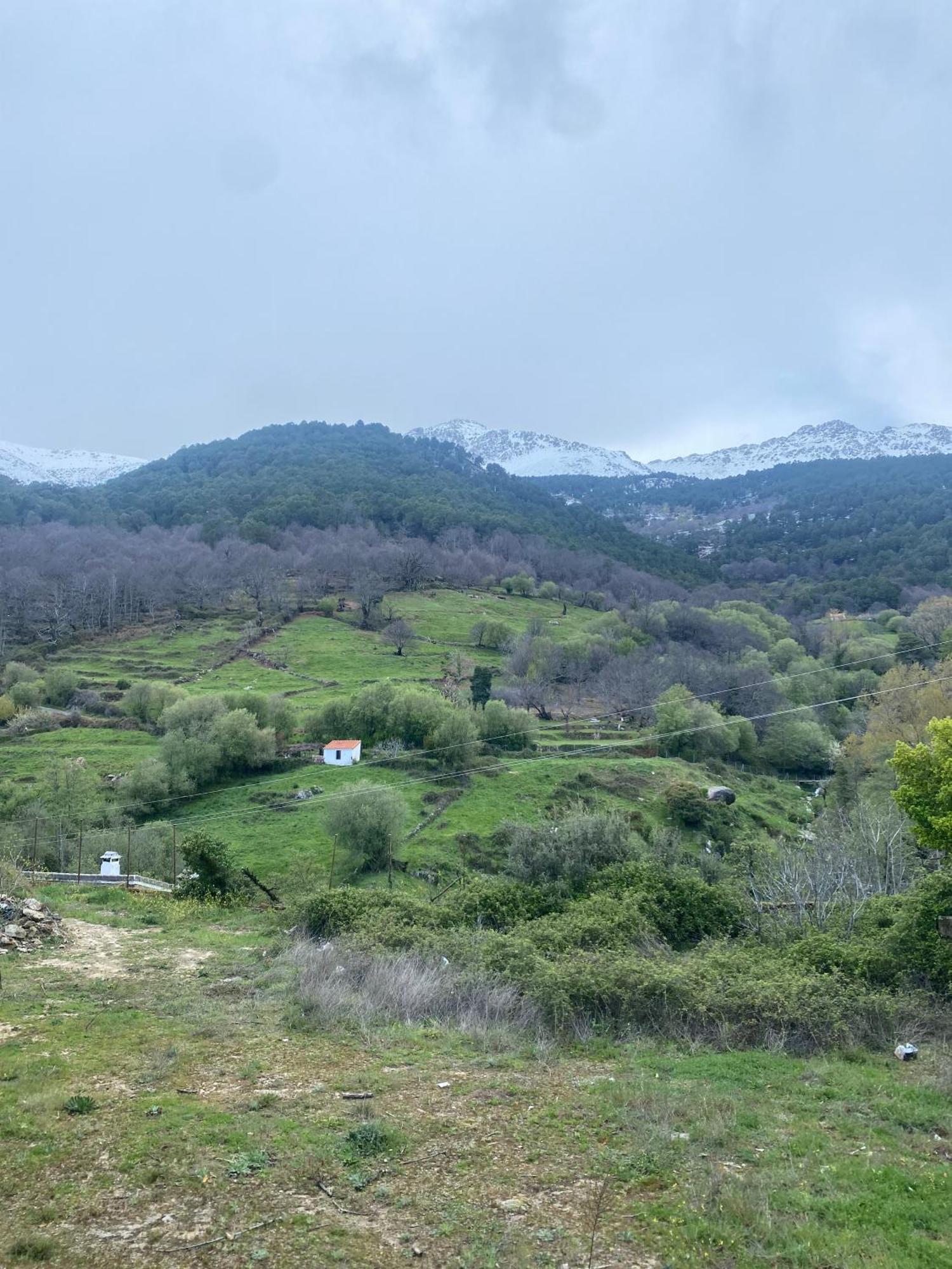 米哈雷斯Mirador Del Tietar公寓 外观 照片